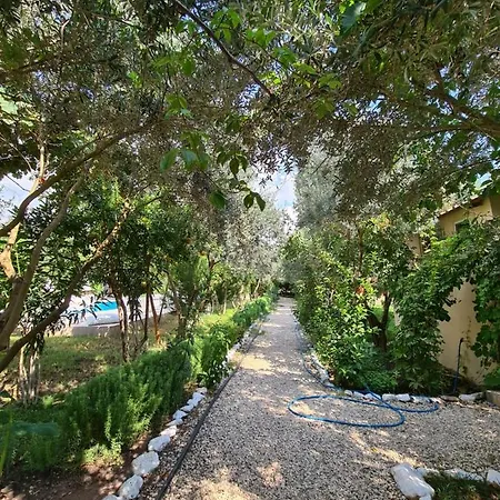 Olive Garden Olympos Hotel Kumluca