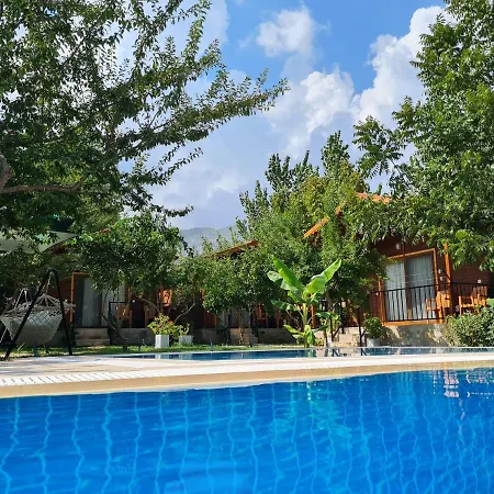 Hotel Olive Garden Olympos