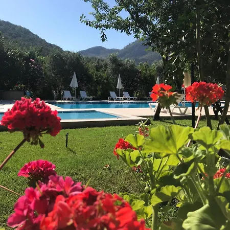 Olive Garden Olympos *