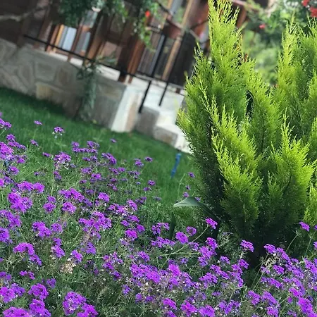 Olive Garden Olympos Hotel Kumluca