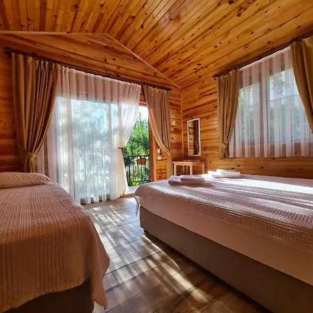 Hotel Olive Garden Olympos *
