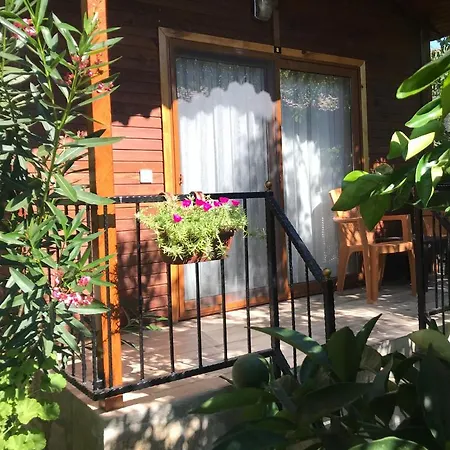 Hotel Olive Garden Olympos *